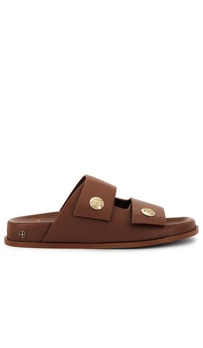 Ella Slides in Brown. - size 37 (also in 38, 39, 40) - ANINE BING - Modalova