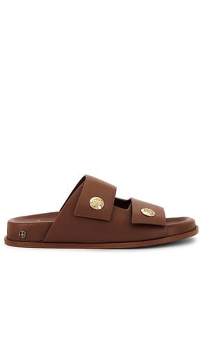 Ella Slides in Brown. - size 38 (also in 39, 40) - ANINE BING - Modalova