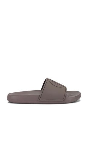 Isla Slides in Taupe. - size 38 (also in 39, 40) - ANINE BING - Modalova