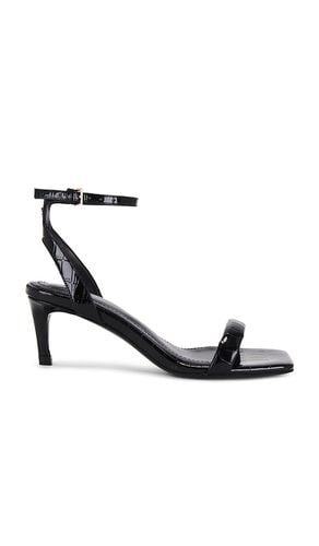 Cora Sandal in Black. - size 36 (also in 37, 38, 39, 40) - ANINE BING - Modalova