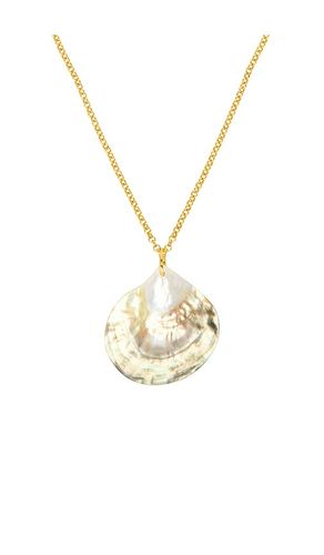HALSKETTE SHELL in - ANNI LU - Modalova