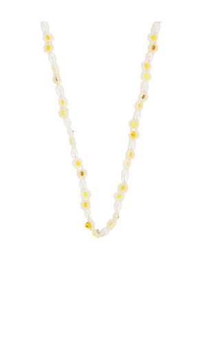 ANNI LU HALSKETTE DAISY in Yellow - ANNI LU - Modalova