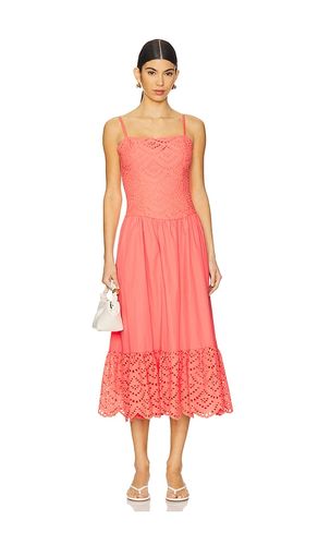 Nathalia Dress in . - size L (also in M, S, XS) - ASTR the Label - Modalova