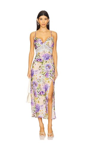 Ivanna Dress in . Size XL - ASTR the Label - Modalova
