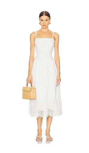 Nathalia Dress in . - size L (also in M, S, XL) - ASTR the Label - Modalova