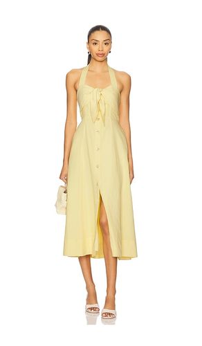 Katherine Dress in Lemon. - size L (also in M, S) - ASTR the Label - Modalova