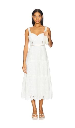 Pellagia Dress in . - size M (also in XL) - ASTR the Label - Modalova