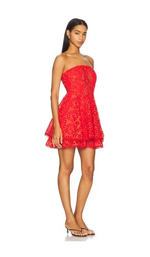 KLEID DEASIA in . Größe L. Also in M - ASTR the Label - Modalova