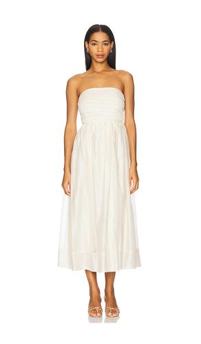 Aneesha Dress in . - size L (also in M, S, XS) - ASTR the Label - Modalova