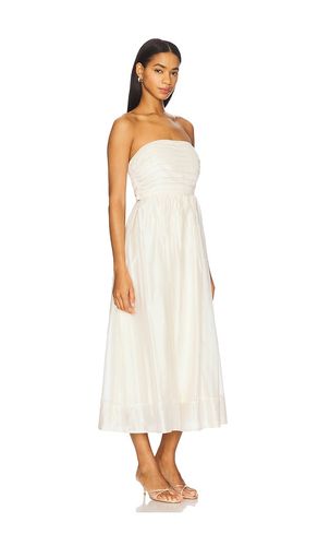 KLEID ANEESHA in . Größe M. Also in S - ASTR the Label - Modalova