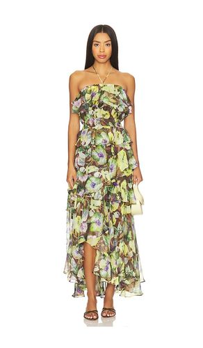 Elena Dress in Green. - size L (also in M, S, XL, XS) - ASTR the Label - Modalova