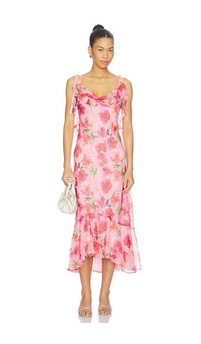 KLEID NISSA in . Größe L. Also in M, S, XS - ASTR the Label - Modalova