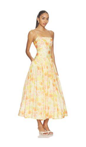 KLEID OVINA in . Größe L. Also in M, S, XS - ASTR the Label - Modalova