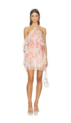 KLEID OFRA in . Größe L. Also in M, S, XS - ASTR the Label - Modalova