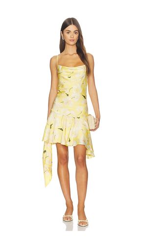 KLEID PALOMA in . Größe M. Also in S - ASTR the Label - Modalova