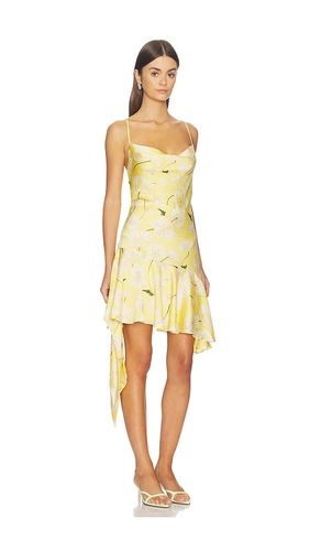 KLEID PALOMA in . Größe M. Also in S - ASTR the Label - Modalova
