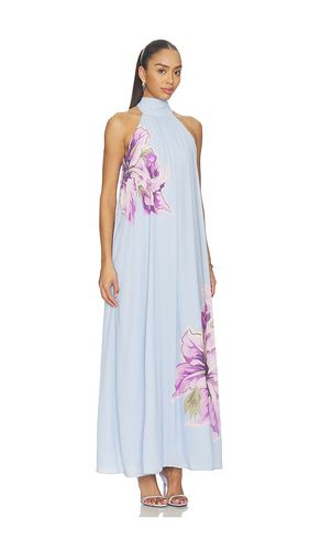 KLEID NESTA in . Größe L. Also in S, XS - ASTR the Label - Modalova