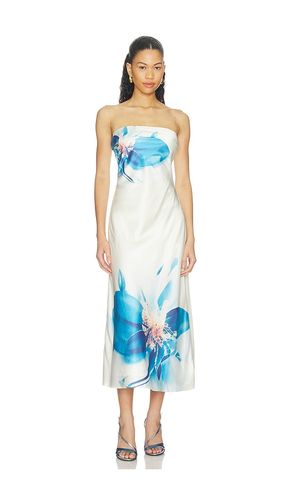 KLEID ANNABETH in . Größe L. Also in M, S, XL, XS - ASTR the Label - Modalova