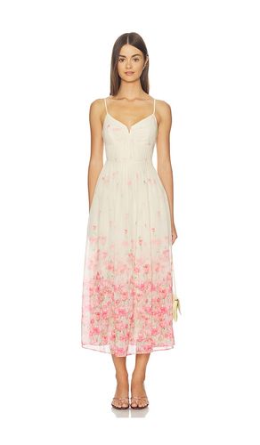 KLEID BELLORA in . Größe L. Also in M, S, XL, XS - ASTR the Label - Modalova