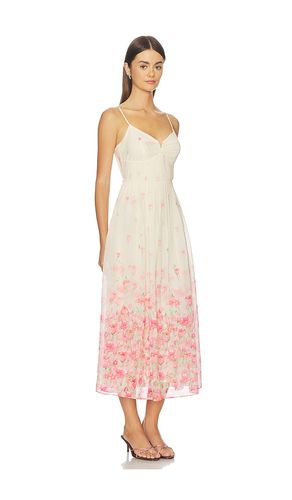 KLEID BELLORA in . Größe L. Also in M, S, XL, XS - ASTR the Label - Modalova