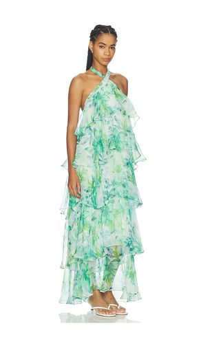 KLEID DAIGA in . Größe L. Also in M, S, XS - ASTR the Label - Modalova