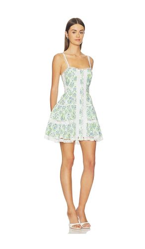 KLEID SKYE in . Größe L. Also in M - ASTR the Label - Modalova