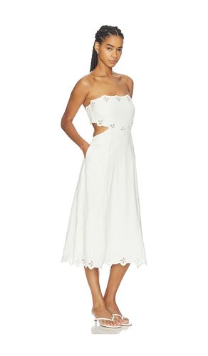 KLEID SHAVONDA in . Größe L. Also in M, XL - ASTR the Label - Modalova