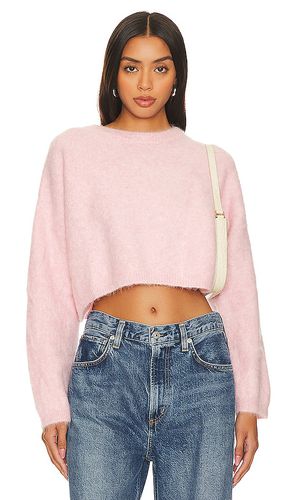 Clarissa sweater in color size L in - . Size L (also in S, XS) - ASTR the Label - Modalova