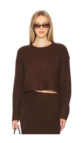 Clarissa Sweater in . Size M, S, XL/1X, XS - ASTR the Label - Modalova