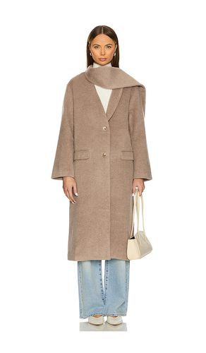 Londyn Coat in . Size M, S, XL - ASTR the Label - Modalova