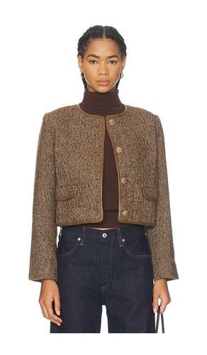 Chiara Jacket in Brown. - size L (also in M, S, XL, XS) - ASTR the Label - Modalova