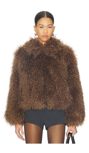Kamrath Jacket in . Size L. Also in M, S, XL, XS - ASTR the Label - Modalova