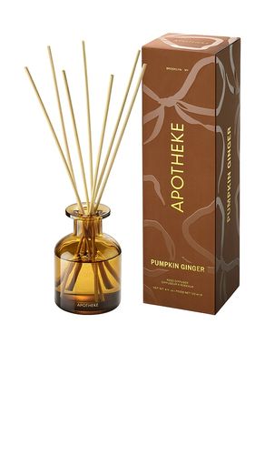 Pumpkin Ginger Reed Diffuser in Rust - APOTHEKE - Modalova