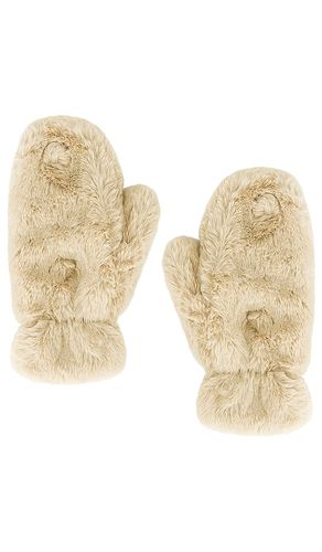 Guantes coco en color crema talla all - Apparis - Modalova