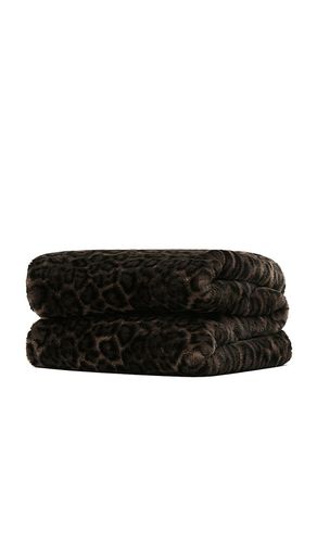 Apparis DECKE BRADY in Brown - Apparis - Modalova