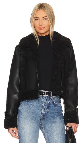 Jay Vegan Leather Jacket in . Size M, XL - Apparis - Modalova