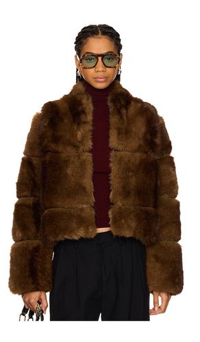 Sai Short Coat in Brown. - size L (also in M, XL) - Apparis - Modalova
