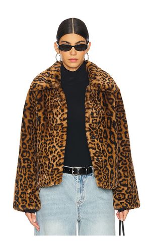 Elis Leopard Short Coat in . Size M, S, XL, XS - Apparis - Modalova