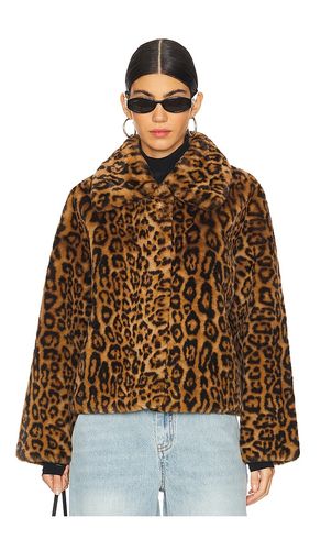 Elis Leopard Short Coat in . Taglia L. Also in M, S, XS, XXS - Apparis - Modalova