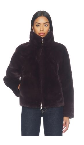 BOMBERJACKE AUS WEBPELZ BROOKS in . Größe L. Also in M, S, XS, XXS - Apparis - Modalova