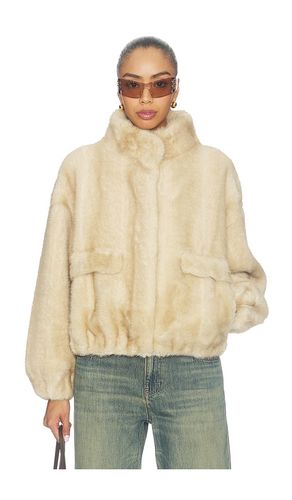 Iris Shaved Faux Mink Bomber Jacket in . Taglia L. Also in M, S, XS, XXS - Apparis - Modalova