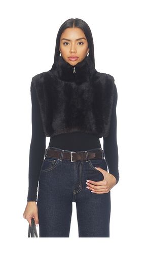 Jamie Faux Mink Dickey in Noir in - Apparis - Modalova