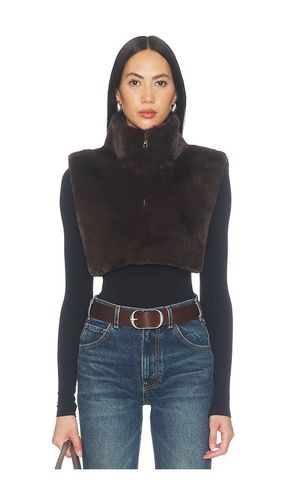Jamie Faux Mink Dickey in Brown - Apparis - Modalova