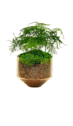 Macetero model three planter en color naranja talla all - Areaware - Modalova
