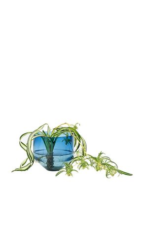 Macetero model three planter en color azul talla all - Areaware - Modalova