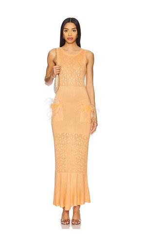 Knit Dress With Ostrich Feathers Details in . - size L (also in M, S, XL, XS) - ANDREEVA - Modalova