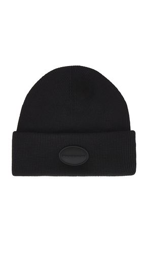 Ribbed Beanie With Domed Logo Patch in - Alexander Wang - Modalova