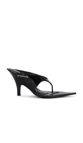 Irina 90 Pointy Toe Thong Sandal in . - size 37 (also in 39) - Alexander Wang - Modalova