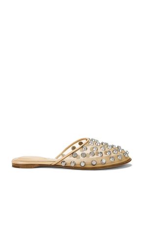 Rhodes flat slipper en color talla 37 en - . Talla 37 (también en 38, 39, 40, 41) - Alexander Wang - Modalova