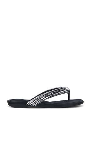 Jenna Tubular Flat Thong Sandal in . Size 35. Also in 38 - Alexander Wang - Modalova